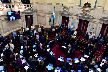 El Senado tratará el proyecto