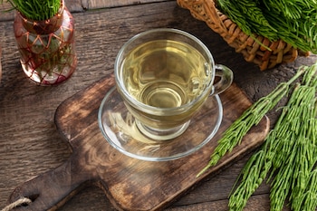 Infusión de cola de caballo