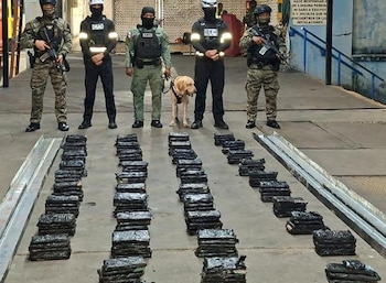 Operativos en terminales marítimas han permitido frenar envíos hacia Europa mediante inspecciones selectivas. Tomada de la Policía Nacional