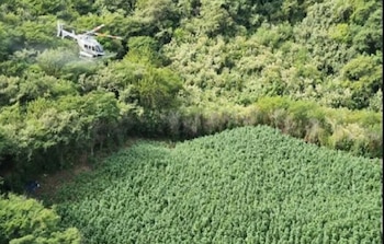 Agentes de seguridad ubicaron y