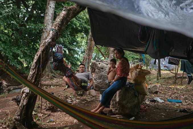 Una familia permanece junto a sus pertenencias en un asentamiento improvisado bajo una lona y entre los árboles. (Plaza Pública)
