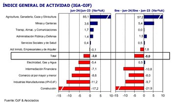 Actividad económica