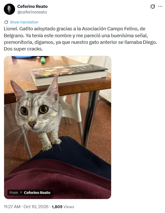 Ceferino Reato contó la historia detrás de Lionel, el gato que adoptó con su familia