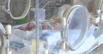 La causa, que comenzó a