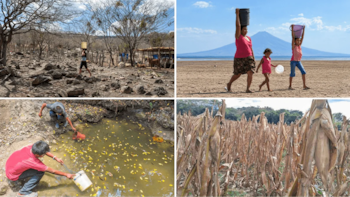 Las complicaciones climáticas impidieron la práctica de la trashumancia del ganado hacia las zonas de Boaco y Chontales. (La Prensa)
