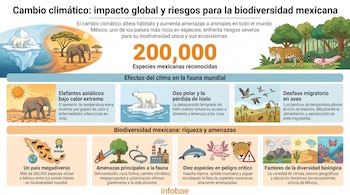 Infografía: oso polar, elefante, jaguar, ajolote, vaquita, tortuga, aves, mapa de México, árboles, sierra, trampa, fábrica, montañas, desierto, arrecife.