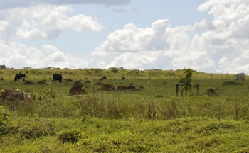 Brasil cuenta con una enorme