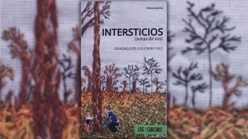 "Intersticios", de Guadalupe Colombo Paz,