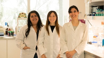 KIT Conicet VPH