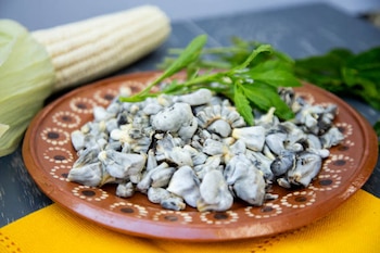 Este hongo se ha convertido