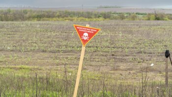 Avanzan las tareas de desminado