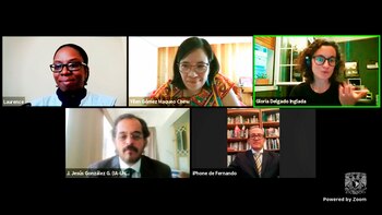 Videoconferencia de los investigadores que