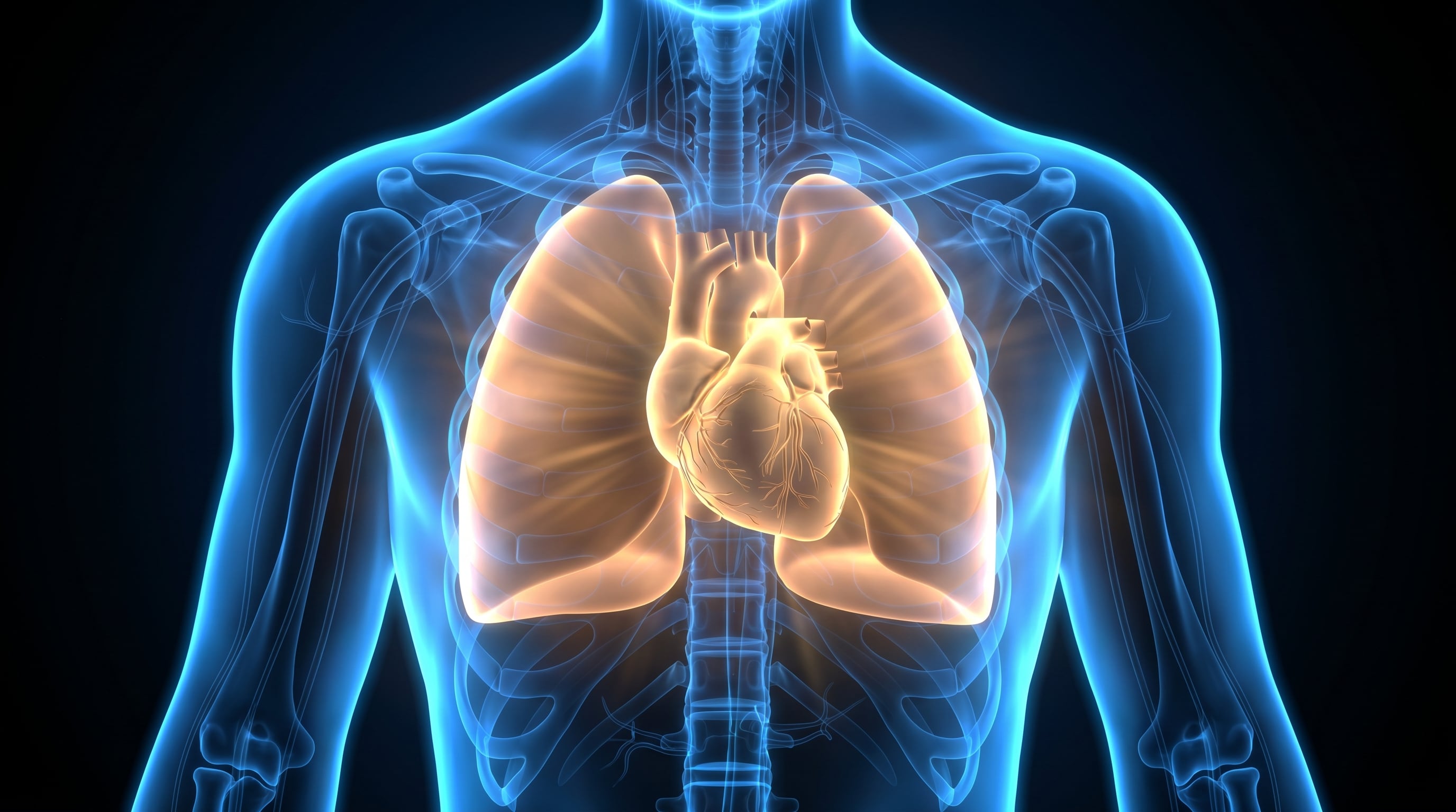 Un posible mecanismo propuesto es la activación de una proteína que contribuiría a mantener flexible el tejido pulmonar (Imagen Ilustrativa Infobae)