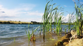 Qué es el carbono azul