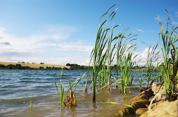 El análisis de más de