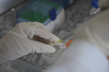 Los investigan están haciendo la