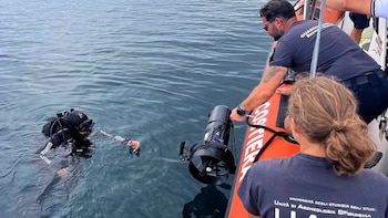 El casco del barco se