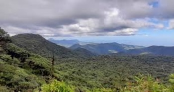 Vista panorámica de exuberantes montañas verdes cubiertas por un denso bosque primario bajo un cielo nublado, con el océano azul visible a lo lejos