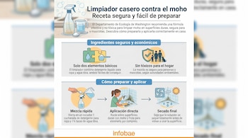 Infografía ilustrando una receta de limpiador casero contra el moho, mostrando ingredientes (detergente, agua), mezcla, aplicación con atomizador y secado de una superficie.