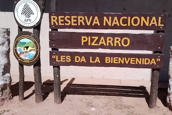 Cazadores que ingresaron ilegalmente a una reserva en Salta deberán reponer el alambrado tras el ataque de sus perros a un yurumí
