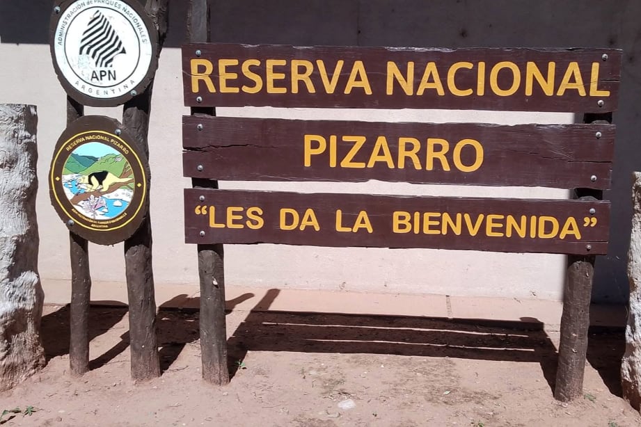 Los guardaparques escucharon ladridos durante un patrullaje de rutina, siguieron los rastros y hallaron a tres perros de caza que habían acorralado a un oso hormiguero gigante con heridas de mordeduras (Foto: Facebook de la reserva)
