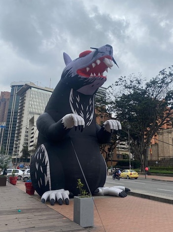 La rata inflable apareció en