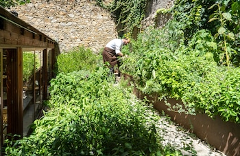 El huerto del restaurante Montia, en San Lorenzo de El Escorial (Cedida)