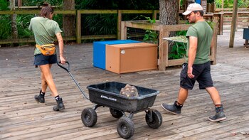 Algunos cuidadores trasladaron a sus