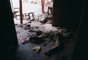 Una escena bestial de la