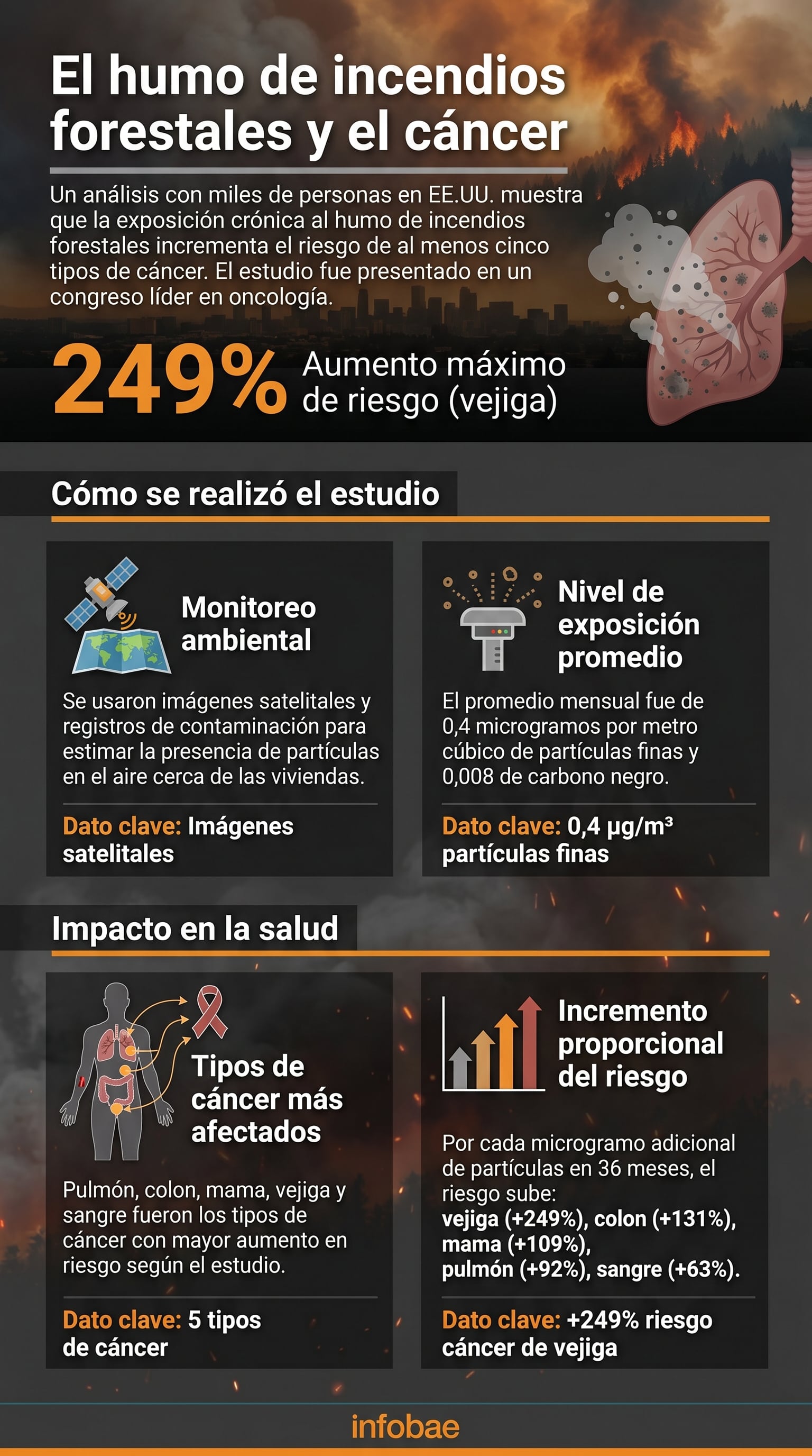 Un estudio estadounidense con más de 90.000 participantes demostró que la exposición crónica al humo de incendios forestales incrementa el riesgo de varios tipos de cáncer hasta un 249%. (Imagen Ilustrativa Infobae)