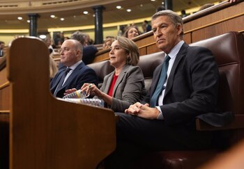 El portavoz del PP en