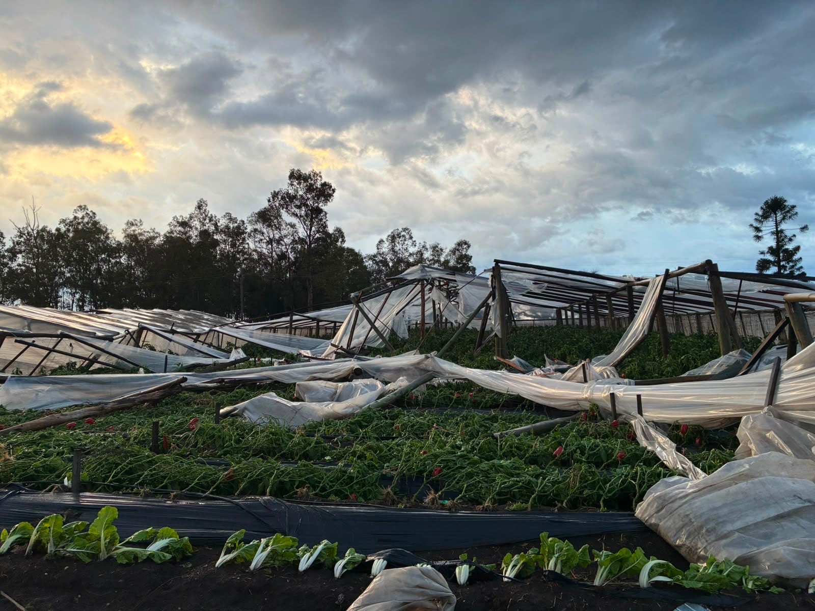 El temporal en Salto, Uruguay(@HoracioDeBrum)