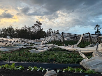 El temporal en Salto, Uruguay(@HoracioDeBrum)