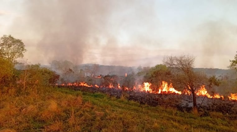 El fuego avanzó sobre un sector de pastizales de Campo San Juan