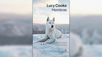 ‘Hembras. Una guía revolucionaria sobre