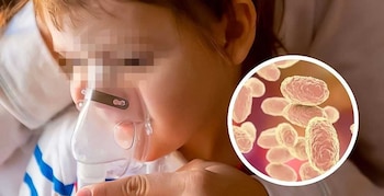 El Distrito Central reporta varios de los casos mortales registrados este año. (FOTO: Archivo)