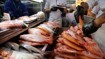 Gobierno y sector privado se