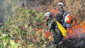 Durante los incendios forestales en Tolima, este es el rescatista que se dedica a salvar animales: “Para tener algo más bonito en el mundo”