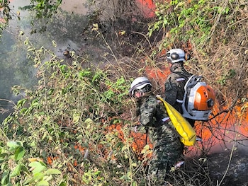 Coello declaró la alerta máxima y desplegó más de 150 unidades, 20 carrotanques y apoyo comunitario para atender los incendios forestales - crédito Santiago Herrera / Facebook