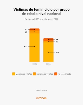54 víctimas de feminicidio en México son menores de edad. | Jovany Pérez
