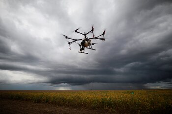 Es necesario reconocer que hemos