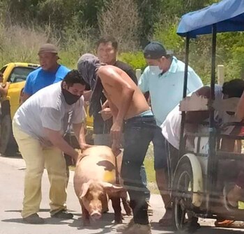 El camión llevaba 20 toneladas