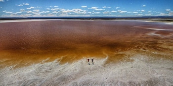 El entorno de la Laguna del Carbón funciona como un laboratorio natural, donde fósiles jurásicos y estudios geológicos permiten reconstruir la evolución de los ecosistemas y del paisaje patagónico (Captura/YouTube)
