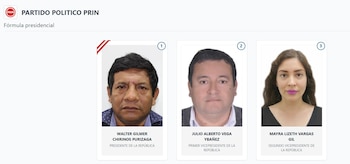 Lista de vicepresidentes en Perú 2026: estos son los acompañantes de cada candidato: Captura: ONPE.