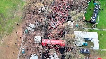 A ação aplica o sistema