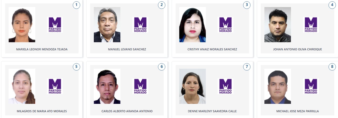 Los candidatos de Partido Morado a la Cámara de Diputados por la región Piura. (Voto Informado - JNE)