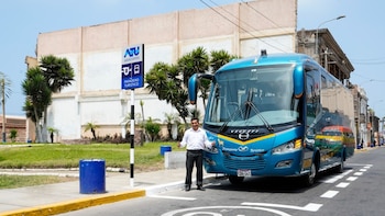 Tres paraderos oficiales para buses