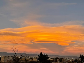 Los más fatalistas especularon que