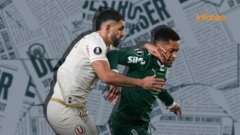 La cruda reacción de la