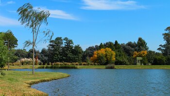 Los terrenos que dan el